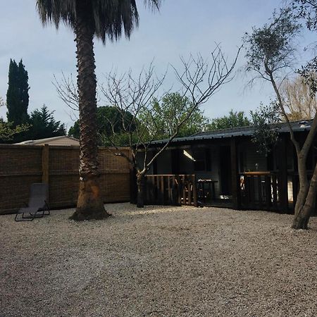 Mobil-Home Avec Grand Jardin Serignan Luaran gambar
